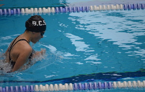 55181460f3a3b_DSC0481.JPG