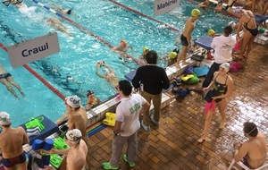 584b2b25e155a_IMG10091.jpg