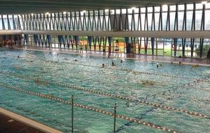 5bcce11d40f2a_piscinenanterre.jpg