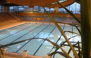 5bd2398241491_piscineberck3.jpg