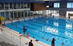 5bf169adb82ed_piscineboulognebillancourt2.jpg
