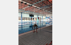 5c755a90cc2b6_vittel1.jpg