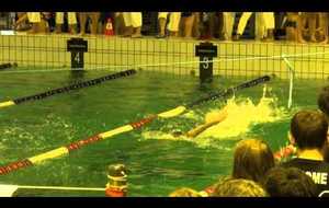 Relais 4x100 m nage libre Dames
