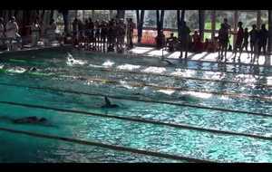 Ambre, Emma, Romane - 200 m nage libre