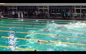 Paul, Jérémie 50 m nage libre