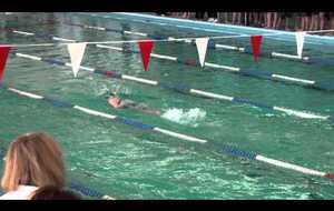 Relais 4 x 200 m Nage Libre Dames