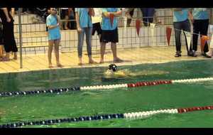 100 m Brasse - Antoinette