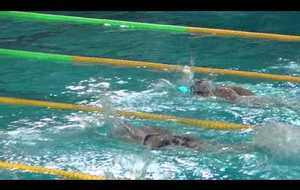 Romane - 50 m nage libre