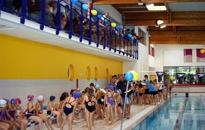 Compétition de l'école de natation