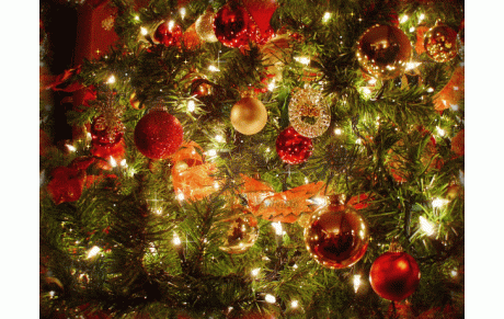 JOYEUSES FETES de fin d'année 2019 !!!