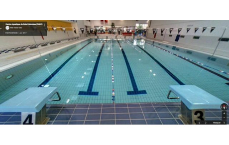 Natation Adultes : loisir et compétition